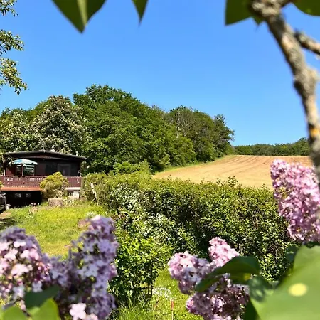 Ferienhaus Ferienhaus Zittertal Neustadt Harz *